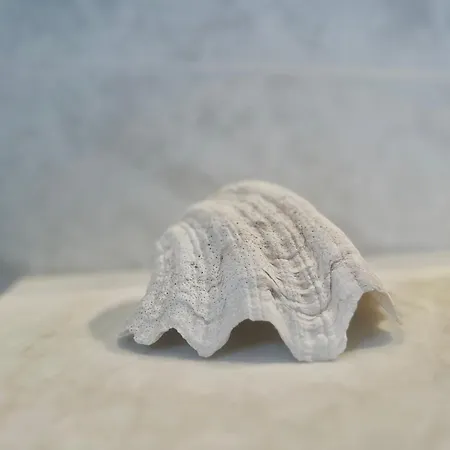 Roof And Sky Luxury In Center 3*